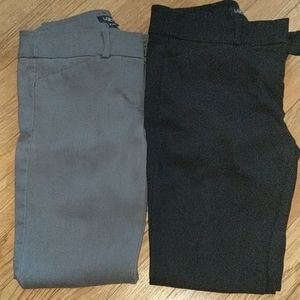 LOFT Dress Pant Bundle